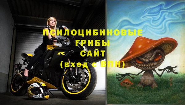 спайс Строитель