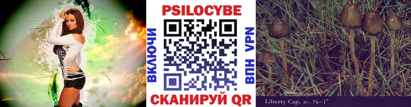ОМГ ОМГ как войти  Яхрома  Псилоцибиновые грибы GOLDEN TEACHER 